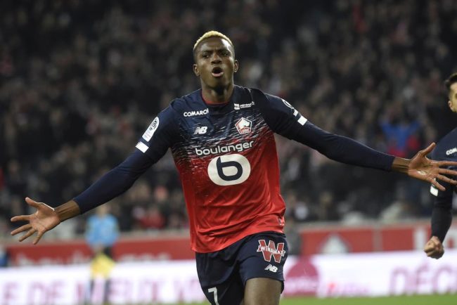 Victor Osimhen Lille Scout Report