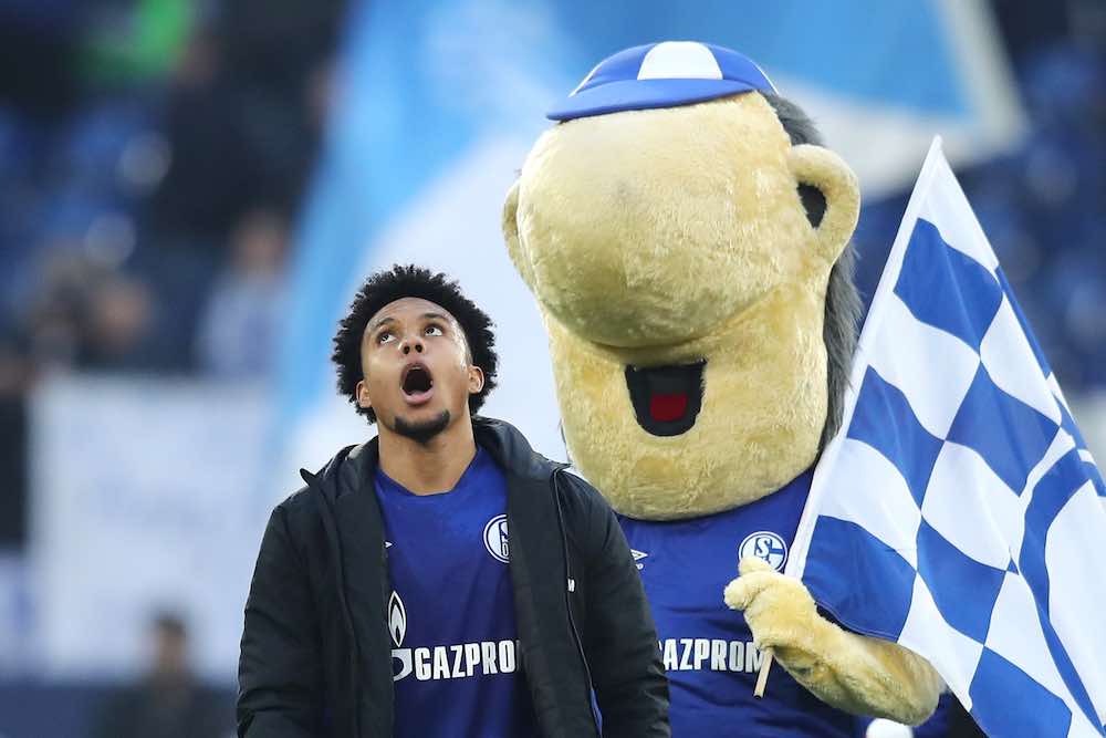 Weston McKennie Schalke Mascot