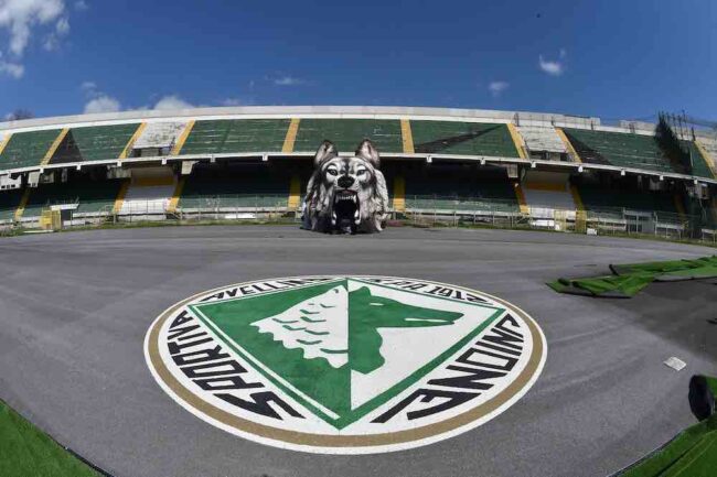 us avellino Wolves of italy