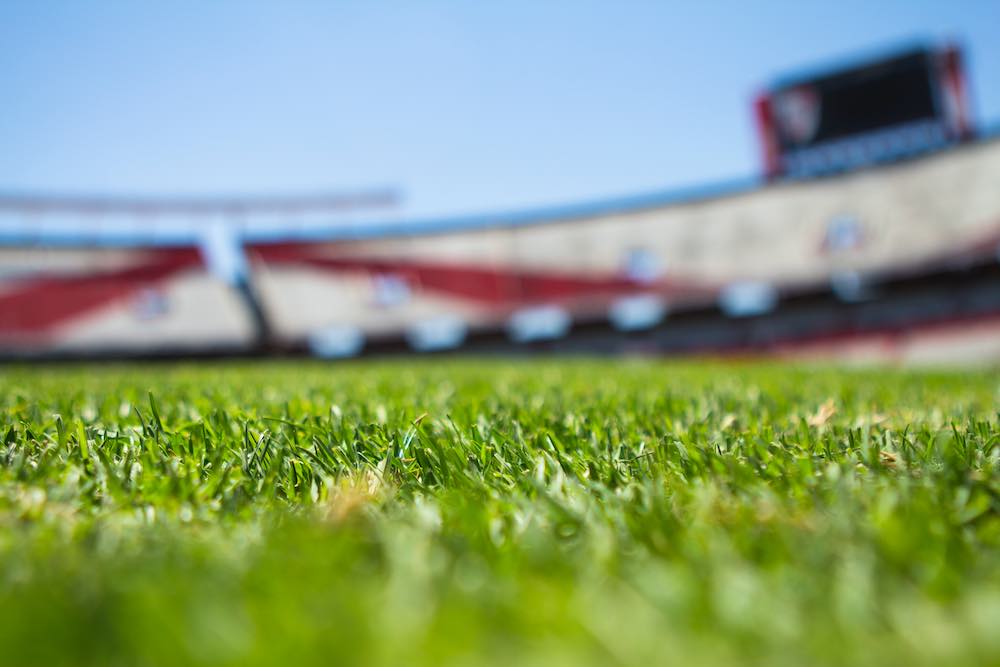 grass stadium